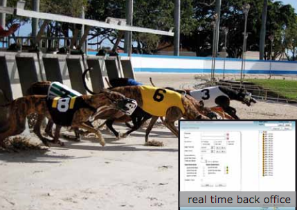 horse and dog racing